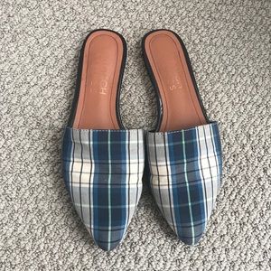 STARCH SLIDES check slides - 7.5